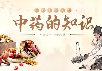 中医中药是文化，是历史，是医学，是思想
