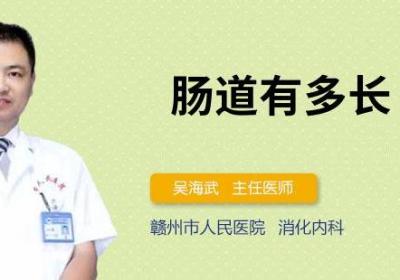 肠道有多长
