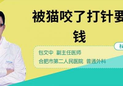 被猫咬了打针要多少钱