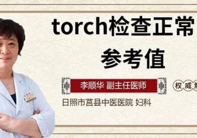 torch检查正常参考值