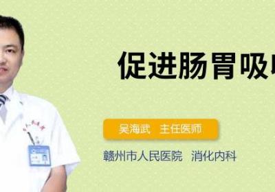 促进肠胃吸收
