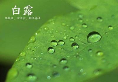 二十四节气中的第15个节气——白露，白露节气如何养生