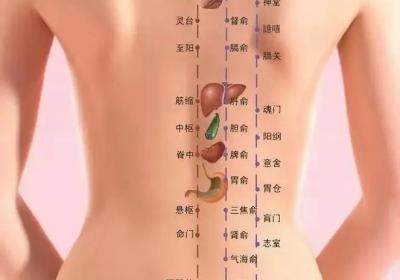 中医穴位归纳：26个俞穴
