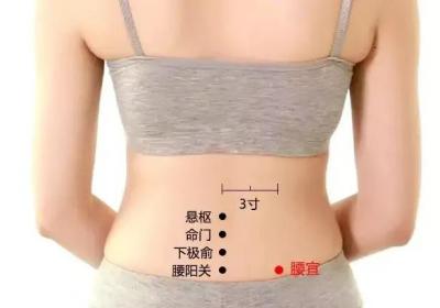 经外奇穴：腰宜穴
