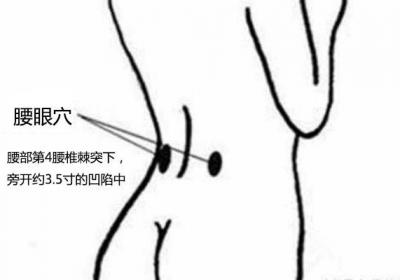 经外奇穴：腰眼穴