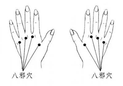 经外奇穴：八邪穴