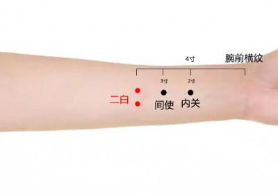 经外奇穴：二白穴