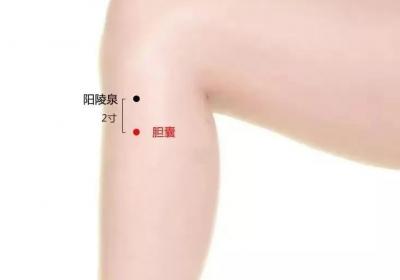 经外奇穴：胆囊穴