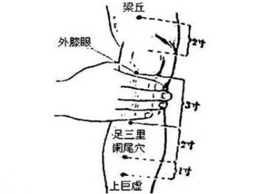经外奇穴：阑尾穴