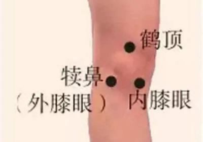 经外奇穴：内膝眼穴