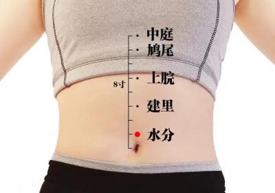 任脉经穴：水分穴