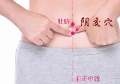 任脉经穴：阴交穴