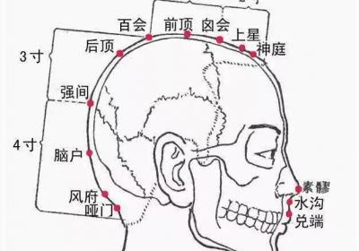 督脉穴位：前顶穴