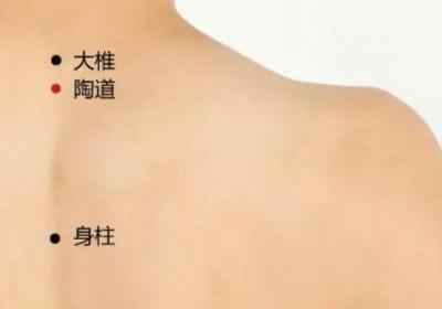 督脉穴位：陶道穴