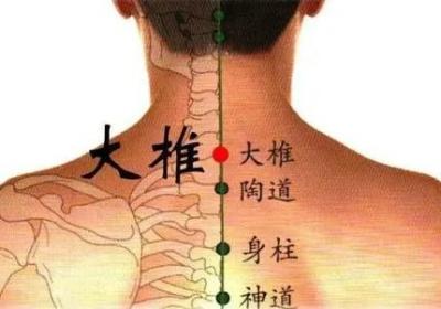 督脉穴位：身柱穴