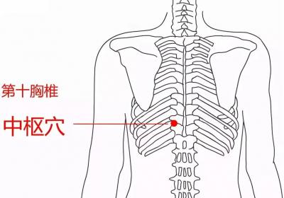 督脉穴位：中枢穴