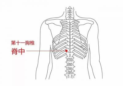 督脉穴位：脊中穴