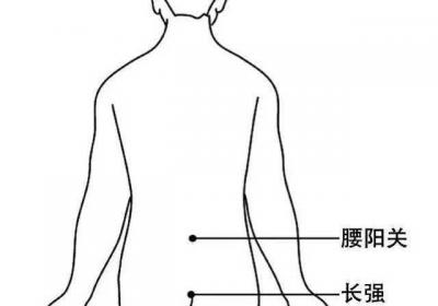 督脉穴位：腰阳关穴