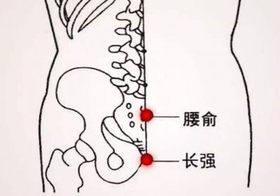 督脉穴位：腰俞穴