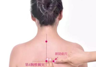 足太阳膀胱经经穴：厥阴俞穴