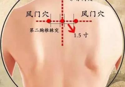 足太阳膀胱经经穴：风门穴