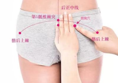 足太阳膀胱经经穴：胞肓穴