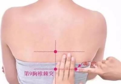 足太阳膀胱经经穴：魂门穴
