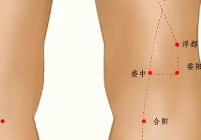 足太阳膀胱经经穴：浮郄穴