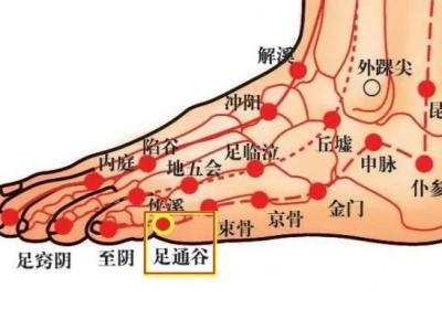 足太阳膀胱经经穴：足通谷穴