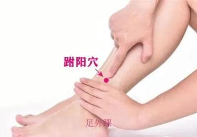 足太阳膀胱经经穴：跗阳穴