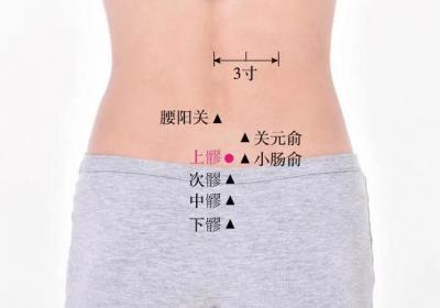 足太阳膀胱经经穴：上髎穴
