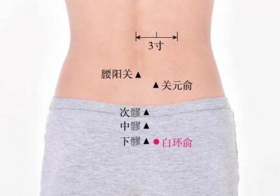 足太阳膀胱经经穴：白环俞穴