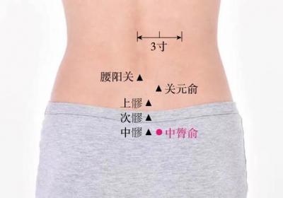 足太阳膀胱经经穴：中膂俞穴
