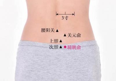 足太阳膀胱经经穴：膀胱俞穴