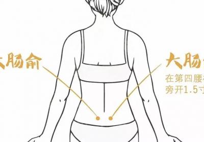 足太阳膀胱经经穴：大肠俞穴