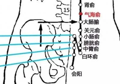 足太阳膀胱经经穴：气海俞穴