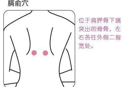 足太阳膀胱经经穴：膈俞穴