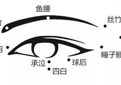 足太阳膀胱经经穴：攒竹穴
