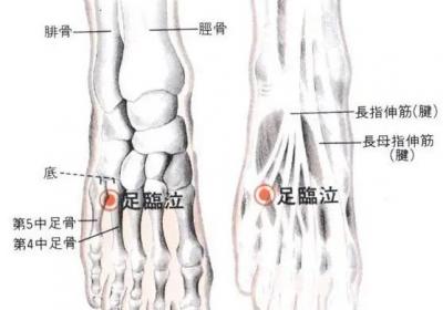 足少阳胆经经穴：足临泣穴