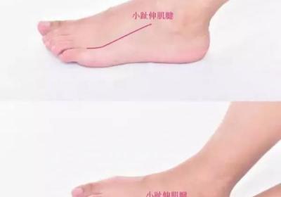 足少阳胆经经穴：地五会穴