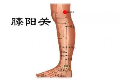 足少阳胆经经穴：膝阳关穴
