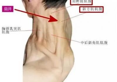 足少阳胆经经穴：肩井穴