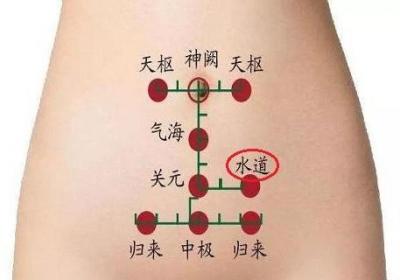 水道的作用与功效