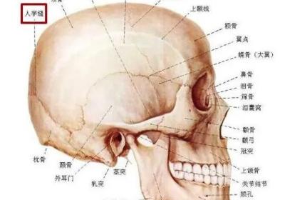 足少阳胆经经穴：脑空穴
