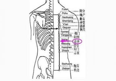 意舍的准确位置图作用