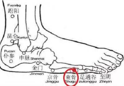 束骨定位和主治