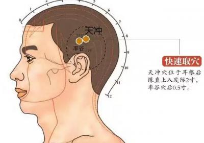足少阳胆经经穴：天冲穴