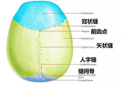 足少阳胆经经穴：悬颅穴