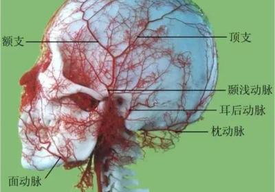 足少阳胆经经穴：颔厌穴