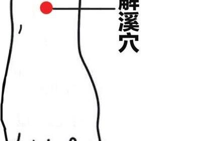 足阳明胃经经穴：解溪穴